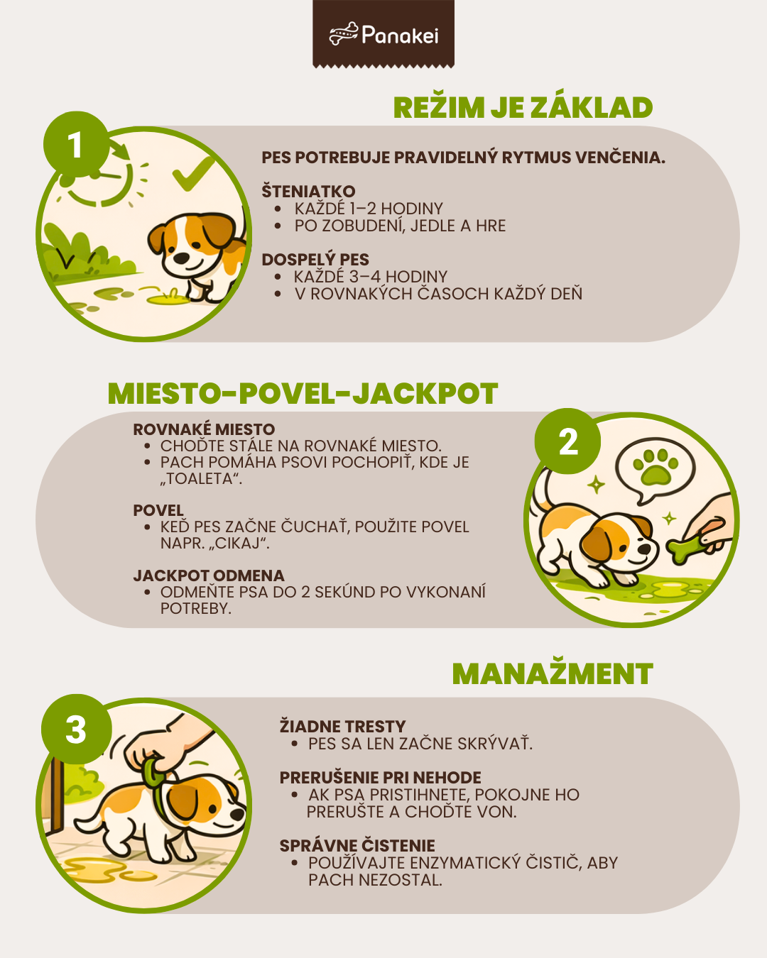 Ako naučiť psa cikať vonku?